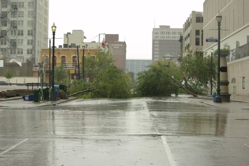 Flooded street and two downed trees with downtown Houston buildings in background